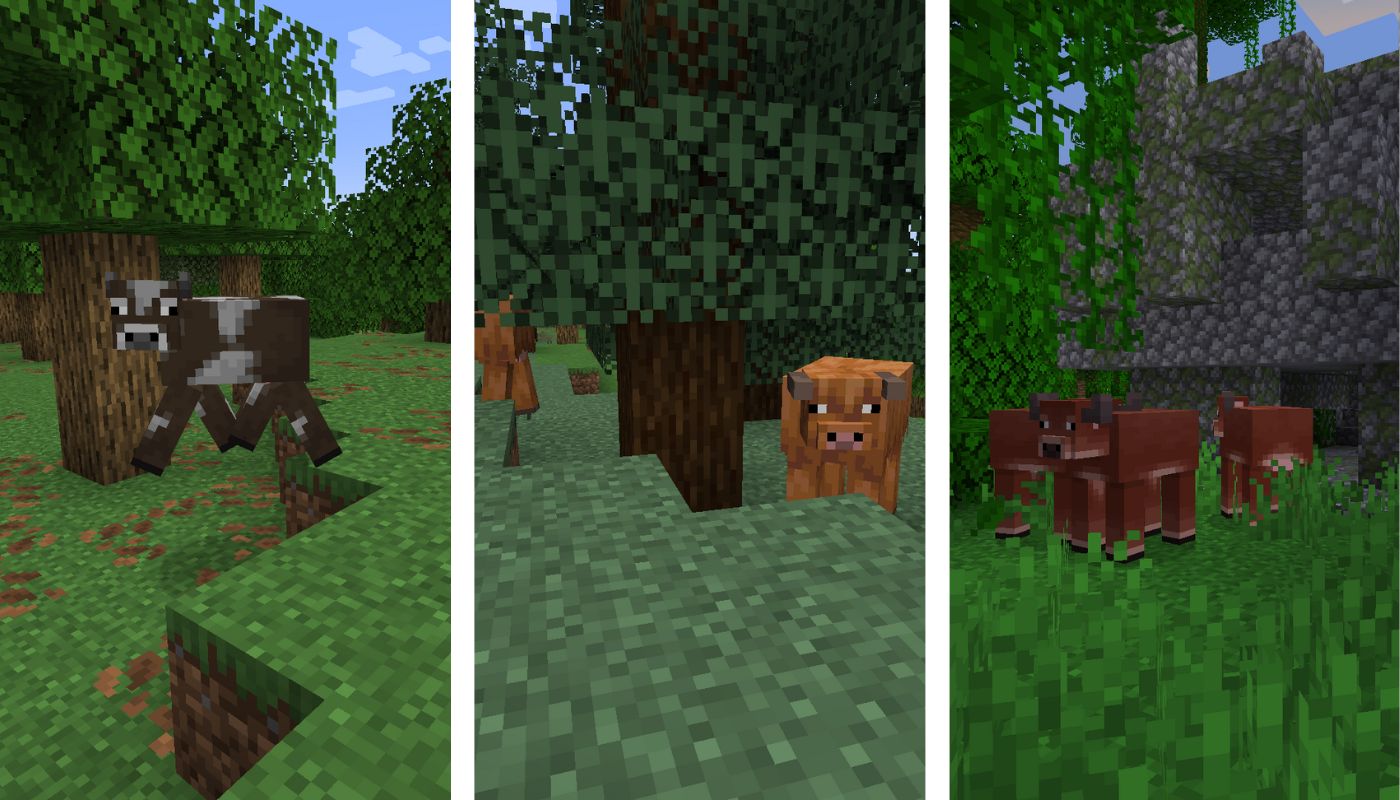 Nuevas variantes de vacas en Minecraft 1.21.5